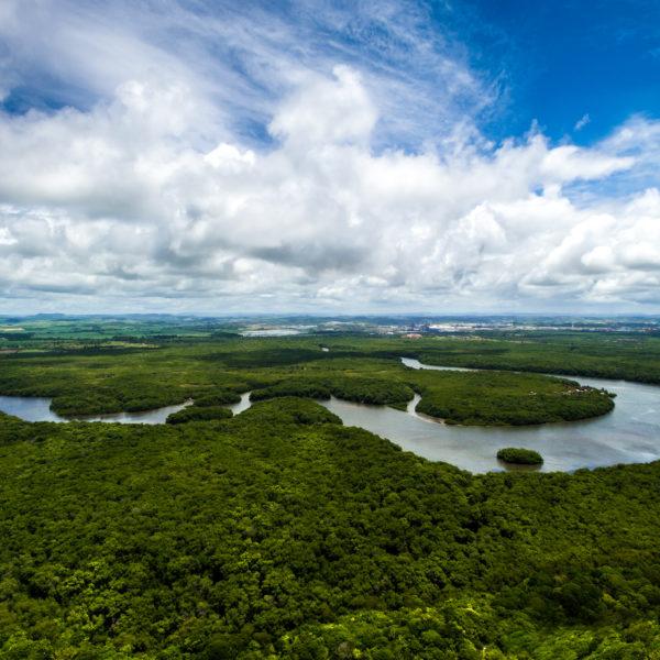 亚马逊雨林鸟瞰图